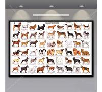 Cuadros Decoracion,Cuadro De Anatomía De Dachshund, Cuadro De Razas De Perros, Póster Impreso, Cuadros En Lienzo, Pinturas para El Hogar, Arte De Pared, Decoración para Sala De Estar - 30X40Cm