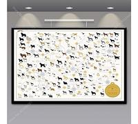 Cuadros Decoracion,Cuadro De Anatomía De Dachshund, Cuadro De Razas De Perros, Póster Impreso, Cuadros En Lienzo, Pinturas para El Hogar, Arte De Pared, Decoración para Sala De Estar - 30X40Cm