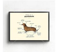 Cuadros Decoracion,Cuadro De Anatomía De Dachshund, Cuadro De Razas De Perros, Póster Impreso, Cuadros En Lienzo, Pinturas para El Hogar, Arte De Pared, Decoración para Sala De Estar - 30X40Cm
