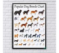 Cuadros Decoracion,Cuadro De Anatomía De Dachshund, Cuadro De Razas De Perros, Póster Impreso, Cuadros En Lienzo, Pinturas para El Hogar, Arte De Pared, Decoración para Sala De Estar - 30X40Cm