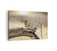 Cuadros Decoracion Salon África leopardo gato Safari Lienzos decorativos 120x80cm Cuadro Sobre Lienzo Moderno Dormitorio Cocina Cuadros Pared Imágenes Wall Art Prints Decor Grande XXL AA120x80-2599