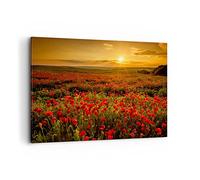 Cuadros Decoracion Salon amapola flor prado Lienzos decorativos 120x80cm Cuadro Sobre Lienzo Moderno Dormitorio Cocina Cuadros Pared Imágenes Wall Art Prints Decor Canvas Grande XXL AA120x80-3643