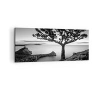 Cuadros Decoracion Salon Árbol Blanco Y Negro Vista Lienzos decorativos 120x50cm Cuadro Sobre Lienzo Moderno Dormitorio Cocina Cuadros Pared Imágenes Wall Art Prints Decor Canvas Grande AB120x50-4297