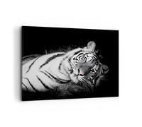 Cuadros Decoracion Salon Blanco Tigre Blanco Y Negro Lienzos decorativos 120x80cm Cuadro Sobre Lienzo Moderno Dormitorio Cocina Cuadros Pared Imágenes Wall Art Prints Decor Grande XXL AA120x80-4247