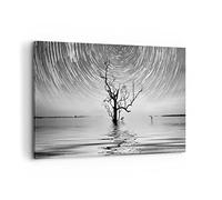 Cuadros Decoracion Salon Blanco Y Negro Árbol Lago Lienzos decorativos 120x80cm Cuadro Sobre Lienzo Moderno Dormitorio Cocina Cuadros Pared Imágenes Wall Art Prints Decor Grande XXL AA120x80-4253