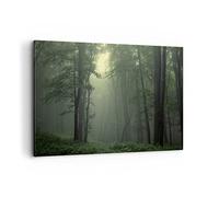Cuadros Decoracion Salon bosque niebla arbol Lienzos decorativos 120x80cm Cuadro Sobre Lienzo Moderno Dormitorio Cocina Cuadros Pared Imágenes Wall Art Prints Decor Canvas Grande XXL AA120x80-3543