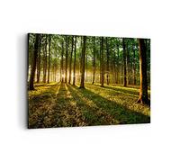 Cuadros Decoracion Salon Bosque verde sol rayos naturaleza Lienzos decorativos 120x80cm Cuadro Sobre Lienzo Moderno Dormitorio Cuadros Pared Imágenes Wall Art Prints Decor Grande XXL AA120x80-2510