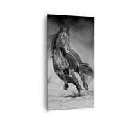 Cuadros Decoracion Salon Caballo Galope Dinámico Lienzos decorativos 65x120cm Cuadro Sobre Lienzo Moderno Vertical Dormitorio Cocina Cuadros Pared Imágenes Wall Art Prints Decor Grande PA65x120-5023