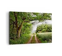 Cuadros Decoracion Salon Camino naturaleza bosque verde Lienzos decorativos 120x80cm Cuadro Sobre Lienzo Moderno Dormitorio Cuadros Pared Imágenes Wall Art Prints Decor Grande XXL AA120x80-2637