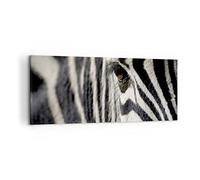 Cuadros Decoracion Salon Cebra rayas fauna safari Lienzos decorativos 120x50cm Cuadro Sobre Lienzo Moderno Dormitorio Cocina Cuadros Pared Imágenes Wall Art Prints Decor Canvas Grande AB120x50-2195