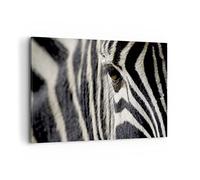 Cuadros Decoracion Salon Cebra rayas fauna safari Lienzos decorativos 120x80cm Cuadro Sobre Lienzo Moderno Dormitorio Cocina Cuadros Pared Imágenes Wall Art Prints Decor Grande XXL AA120x80-2195