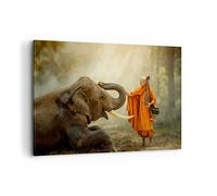 Cuadros Decoracion Salon elefante monje colmillo Lienzos decorativos 120x80cm Cuadro Sobre Lienzo Moderno Dormitorio Cocina Cuadros Pared Imágenes Wall Art Prints Decor Grande XXL AA120x80-3484
