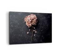 Cuadros Decoracion Salon Flor Hortensia Naturaleza Lienzos decorativos 120x80cm Cuadro Sobre Lienzo Moderno Dormitorio Cocina Cuadros Pared Imágenes Wall Art Prints Decor Grande XXL AA120x80-5244