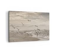 Cuadros Decoracion Salon Gaviotas Costa Boho Lienzos decorativos 120x80cm Cuadro Sobre Lienzo Moderno Dormitorio Cocina Cuadros Pared Imágenes Wall Art Prints Decor Canvas Grande XXL AA120x80-4723