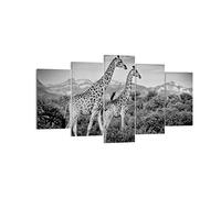 Cuadros Decoracion Salon Jirafas Blanco Y Negro Fotografía Lienzos decorativos 160x85cm Cuadro Sobre Lienzo Moderno Dormitorio Cuadros Pared Tríptico 5 Piezas Wall Art Prints Grande XXL EA160x85-4441