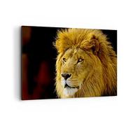 Cuadros Decoracion Salon León animales fauna Lienzos decorativos 120x80cm Cuadro Sobre Lienzo Moderno Dormitorio Cocina Cuadros Pared Imágenes Wall Art Prints Decor Canvas Grande XXL AA120x80-1237