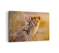 Cuadros Decoracion Salon león naturaleza animal Lienzos decorativos 120x80cm Cuadro Sobre Lienzo Moderno Dormitorio Cocina Cuadros Pared Imágenes Wall Art Prints Decor Canvas Grande XXL AA120x80-3480