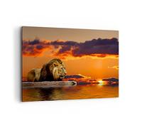 Cuadros Decoracion Salon León Sol Paisaje Lienzos decorativos 120x80cm Cuadro Sobre Lienzo Moderno Dormitorio Cocina Cuadros Pared Imágenes Wall Art Prints Decor Canvas Grande XXL AA120x80-0230