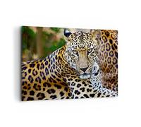 Cuadros Decoracion Salon Leopard pantera gato animal sabana Lienzos decorativos 120x80cm Cuadro Sobre Lienzo Moderno Dormitorio Cuadros Pared Imágenes Wall Art Prints Decor Grande XXL AA120x80-0402