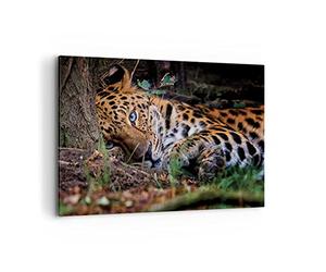 Cuadros Decoracion Salon Leopardo Retrato Jaguar Lienzos decorativos 120x80cm Cuadro Sobre Lienzo Moderno Dormitorio Cocina Cuadros Pared Imágenes Wall Art Prints Decor Grande XXL AA120x80-4493