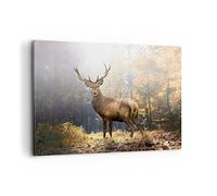 Cuadros Decoracion Salon Luz Ciervo Bosque Lienzos decorativos 120x80cm Cuadro Sobre Lienzo Moderno Dormitorio Cocina Cuadros Pared Imágenes Wall Art Prints Decor Canvas Grande XXL AA120x80-4452