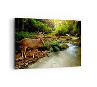 Cuadros Decoracion Salon Otoño montaña corriente paisaje Lienzos decorativos 120x80cm Cuadro Sobre Lienzo Moderno Dormitorio Cuadros Pared Imágenes Wall Art Prints Decor Grande XXL AA120x80-2243