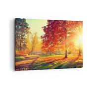 Cuadros Decoracion Salon parque otoño árbol Lienzos decorativos 120x80cm Cuadro Sobre Lienzo Moderno Dormitorio Cocina Cuadros Pared Imágenes Wall Art Prints Decor Canvas Grande XXL AA120x80-3654