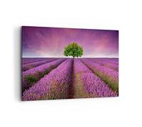Cuadros Decoracion Salon Pradera lavenda verano paisaje Lienzos decorativos 120x80cm Cuadro Sobre Lienzo Moderno Dormitorio Cuadros Pared Imágenes Wall Art Prints Decor Grande XXL AA120x80-2605