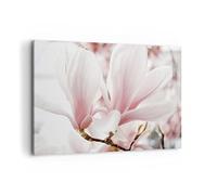 Cuadros Decoracion Salon Ramita Magnolia Flor Lienzos decorativos 120x80cm Cuadro Sobre Lienzo Moderno Dormitorio Cocina Cuadros Pared Imágenes Wall Art Prints Decor Canvas Grande XXL AA120x80-4538