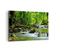 Cuadros Decoracion Salon Stream Bosque Naturaleza Lienzos decorativos 120x80cm Cuadro Sobre Lienzo Moderno Dormitorio Cocina Cuadros Pared Imágenes Wall Art Prints Decor Grande XXL AA120x80-0174
