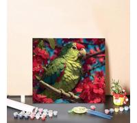 Cuadros para Pintar por numeros PáJaro Pintura por Numeros Flor Paint by Numbers, DIY Entretenimiento Adultos Painting Principiante Kits con Accesorios para Decoracion Hogar 60x60cm Sin Marco 8-32GO