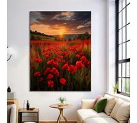 Cuadros Rojo Anaranjado De Arte De Pared De Campo De Amapolas Natural, Impresiones En Lienzo De Paisaje Al Atardecer Lienzo Imagen Cuadros Para La Decoracion Salon Dormitorio 50X70Cm Sin Marco