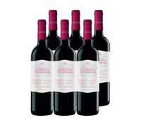 Cuarenta Vendimias DO Ribera del Duero (6 Botellas x 750ml)