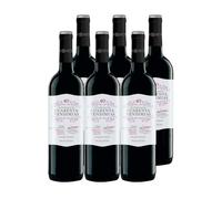 Cuarenta Vendimias DO Rioja (6 Botellas x 750ml)