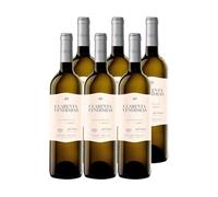 Cuarenta Vendimias Sauvignon - Vino Blanco DO Rueda (6 Botellas x 750ml)