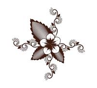 cuatro diseños de mandalas circulares Calcomanías de letras 42x42.5cm Varios tamaños Café