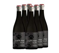 Cuatro Pasos Black Vino tinto mencía D.O. Bierzo - 6 x 750 ml