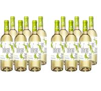 CUATRO RAYAS Cantarranas Verdejo - Vino Blanco DO Rueda (6 Botellas x 750ml) (Paquete de 2)