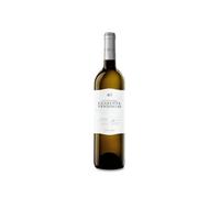 Cuatro Rayas Cuarenta Vendimias Verdejo 2024