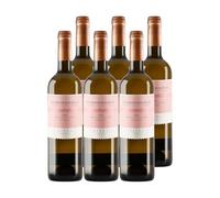 Cuatro Rayas Elena Collection Verdejo DO Rueda (6 Botellas x 750ml)