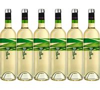 Cuatro Rayas LAGARTIJO. Vino Blanco Verdejo D.O. Rueda - 6 Botellas x 750ml