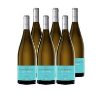 Cuatro Rayas Organic Collection - Vino Blanco Verdejo Ecológico DO Rueda (6 Botellas x 750ml)