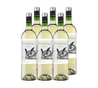 Cuatro Rayas Organic Verdejo Ecológico DO Rueda (6 Botellas x 750ml) | Vino blanco