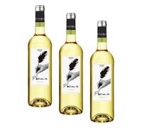 Cuatro Rayas POEMA Verdejo - Vino Blanco D.O. Rueda (1 Botella x 750ml) (Paquete de 3)