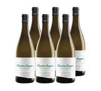 Cuatro Rayas Viñedos Centenarios Verdejo DO Rueda (6 Botellas x 750ml) | Vino blanco