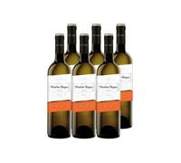 CUATRO RAYAS Vino Blanco Verdejo Vendimia Nocturna D.O. Rueda (6 Botellas x 750ml)