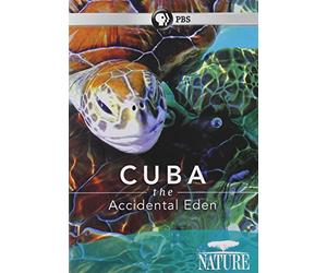 Cuba: The Accidental Eden [USA] [DVD]