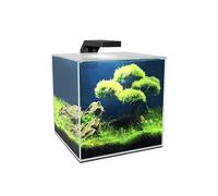 Acuario Cube Aqua 10 Lts. Con Filtro CF20