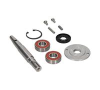 CubetasGastronorm ®- Conjunto Eje Central Peladora Patatas - 2009301