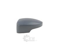 Cubierta De Espejo Exterior Izquierdo Compatible Para Ford Kuga II DM2